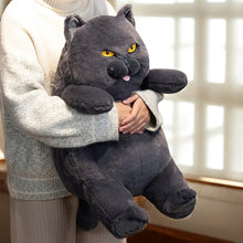 British Shorthair Cat Plush soft toy