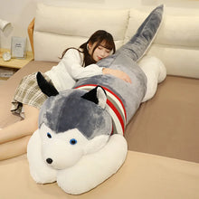 Husky Cuddle Pup Plushie Top View