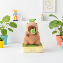Stuffed animal on a box with plants and toys in the background