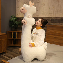 Long Alpaca Plushie Sizes