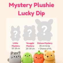 Mystery Plushie Lucky Dip Blind Box