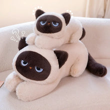 Two plush cat toys with sad expressions on a light-colored couch.