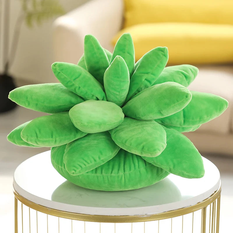 Green plush succulent plant on a round marble table with a blurred indoor background