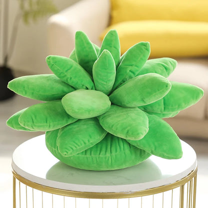 Green plush succulent plant on a round marble table with a blurred indoor background