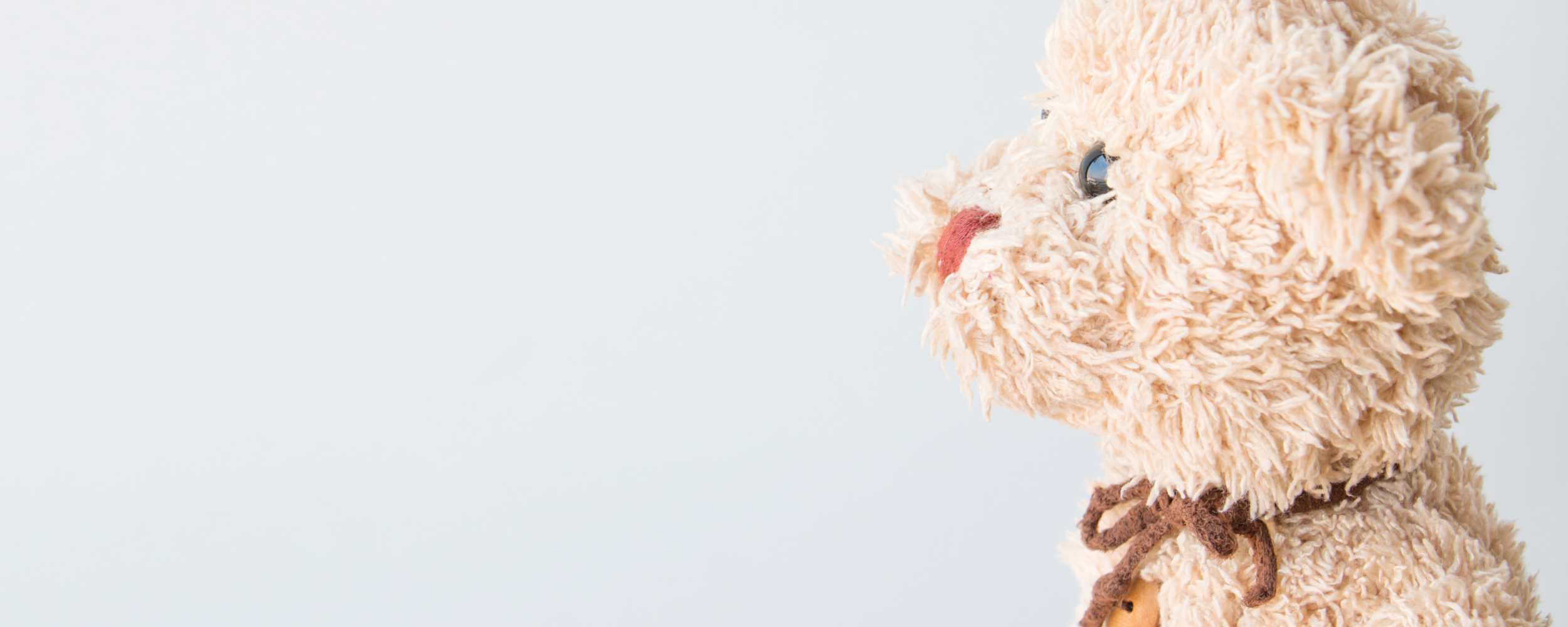 Stuffed Teddy Bear Side view against a white wall