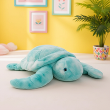 Plush turtle toy on a light surface with a yellow wall and plant in the background