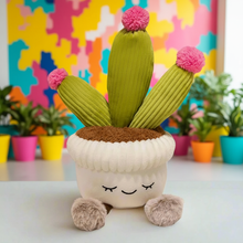 Plush Flowering Cactus